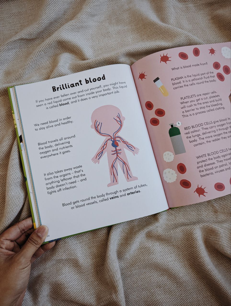 Wise About My Body: An Introduction to the Human Body