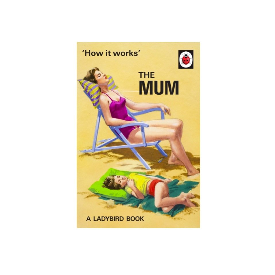 How It Works Series (Ladybird for Grown-Ups)