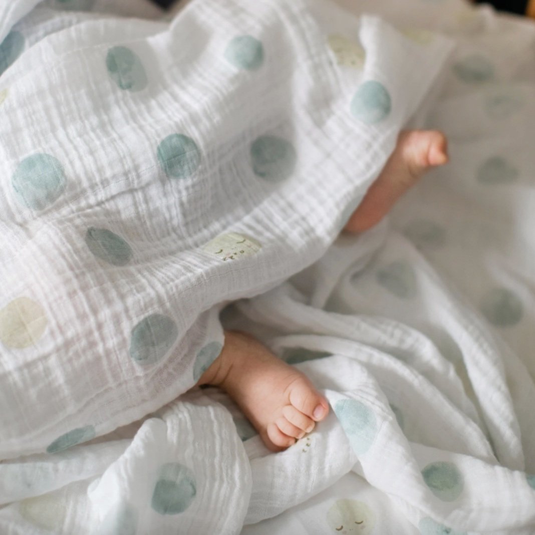 Pehr Organic Cotton Swaddle - Luna
