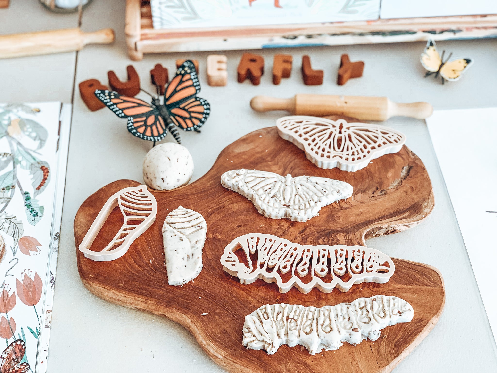 Butterfly Life Cycle Eco Cutter Set