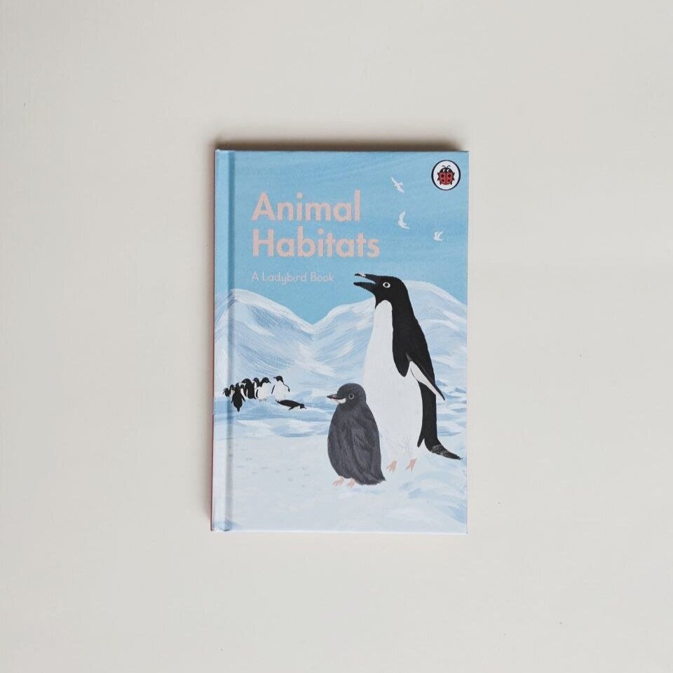 A Ladybird Book Series